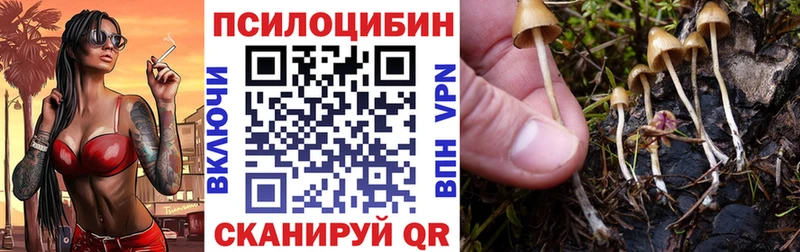 даркнет Telegram  Нижневартовск  Галлюциногенные грибы MAGIC MUSHROOMS 