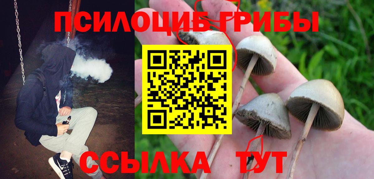 Нижневартовск  Галлюциногенные грибы Psilocybe  Вход с VPN 